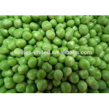 Clase A IQF Guisantes verdes congelados